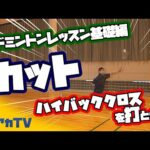 バドミントンレッスン#９　カットの打ち方　ハイバッククロスを打とう！