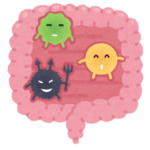 腸の調節について